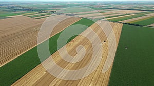 Aerial view on combine, harvester machine, harvest ripe cereal