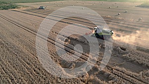 aerial view combine harvester cut thresh wheat grain in large field at early sunset in summer time