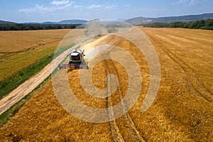 Aerial view of a combine harvester at work during harvest time. Cereal, grain shortage, high trading prices, stockpiling.