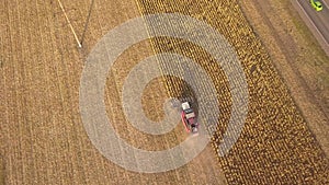 Aerial view of a combine harvester working in agriculture. Harvest grain field, summer season. Drone photo. Russia