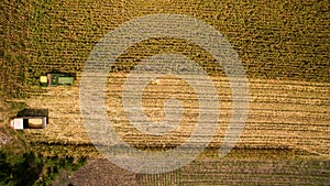 Aerial view Combine harvesters are working in Corn fields. Harvesting fields skyline Aerial. photo
