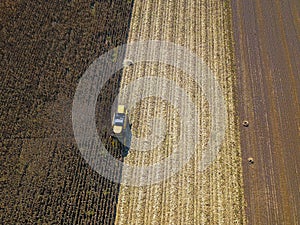 Aerial view of combine harvesting on corn field