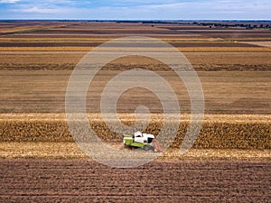 Aerial view of combine harvesting corn field