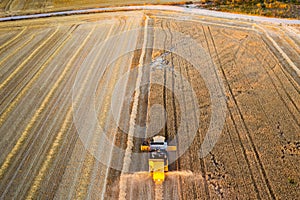 Aerial view of combine harvesting wheat harvest.