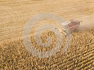 Aerial view on the combine working on the large corn field