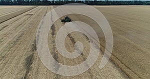 Aerial view on the combines and tractors working on the large wheat field, Harvester on the wheat field, Green harvester