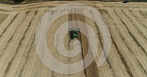 Aerial view on the combines and tractors working on the large wheat field, Harvester on the wheat field, Green harvester