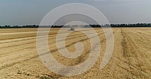 Aerial view on the combines and tractors working on the large wheat field, Harvester on the wheat field, Green harvester