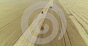 Aerial view on the combines and tractors working on the large wheat field, Harvester on the wheat field, Green harvester