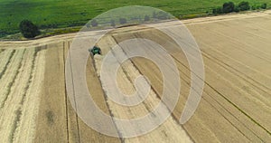 Aerial view on the combines and tractors working on the large wheat field, Harvester on the wheat field, Green harvester