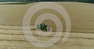 Aerial view on the combines and tractors working on the large wheat field, Harvester on the wheat field, Green harvester working o