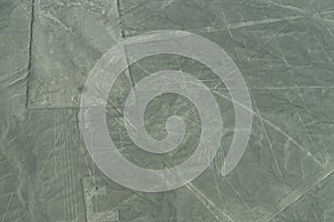 Aerial View of The Condor Geoglyph at the Nazca Lines in Peru