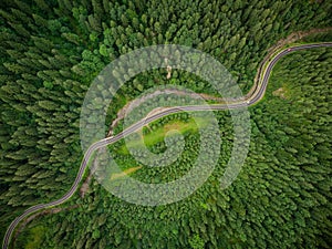 Aerial view of a coniferous forest through which a winding road passes in the mountains