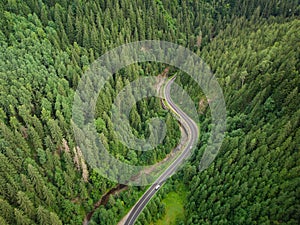 Aerial view of a coniferous forest through which a winding road passes in the mountains