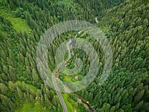 Aerial view of a coniferous forest through which a winding road passes in the mountains