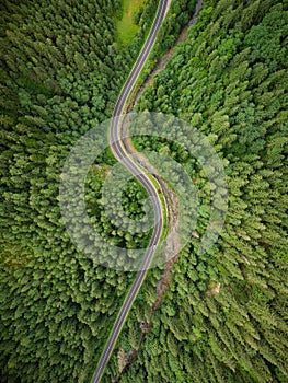 Aerial view of a coniferous forest through which a winding road passes in the mountains