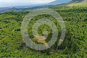 Aerial view of coniferous mountain forest in Vysoke Tatry mountains, Slovakia, recovering after disastrous windstorm slash.