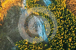 Aerial View Of Coniferous Trees Green Forest In Landscape At Early Spring. Pine Forest In Deforestation Area Landscape