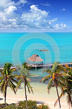 Aerial view Contoy tropical caribbean island photo