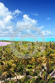 Aerial view Contoy tropical caribbean island