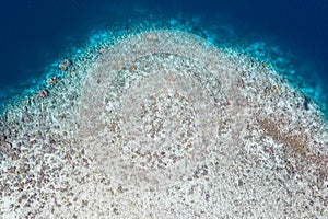 Aerial View of Coral Reef Drop Off in Raja Ampat