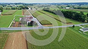 Aerial View of Corn Fields and Fertile Farmlands and Farms