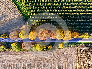 Aerial view of country road, autumn trees and ploughed fields