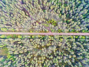 Aerial view of a country road in the forest. Beautiful landscape. Captured from above with a drone. Aerial bird`s eye road. Aeria