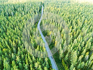 Aerial view of a country road in the forest. Beautiful landscape. Clouds over the green forest and road. Aerial bird`s eye road. A