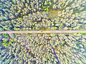 Aerial view of a country road in the forest with moving cars. Beautiful landscape. Captured from above with a drone. Aerial bird`