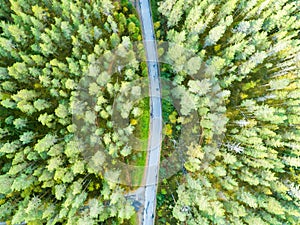 Aerial view of a country road in the forest with moving cars. Beautiful landscape. Captured from above with a drone. Aerial bird`