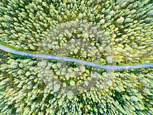 Aerial view of a country road in the forest with moving cars. Beautiful landscape. Captured from above with a drone. Aerial bird`