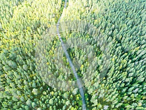 Aerial view of a country road in the forest with moving cars. Beautiful landscape. Captured from above with a drone. Aerial bird`