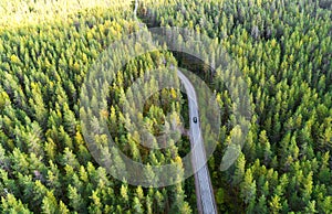 Aerial view of a country road in the forest with moving cars. Beautiful landscape. Captured from above with a drone. Aerial bird`