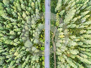 Aerial view of a country road in the forest with moving cars. Beautiful landscape. Captured from above with a drone. Aerial bird`s