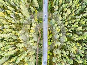 Aerial view of a country road in the forest with moving cars. Beautiful landscape. Captured from above with a drone. Aerial bird`s