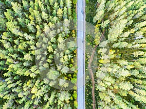 Aerial view of a country road in the forest with moving cars. Beautiful landscape. Captured from above with a drone. Aerial bird`s