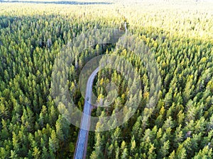 Aerial view of a country road in the forest with moving cars. Beautiful landscape. Captured from above with a drone. Aerial bird`s