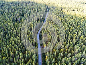 Aerial view of a country road in the forest with moving cars. Beautiful landscape. Captured from above with a drone. Aerial bird`s