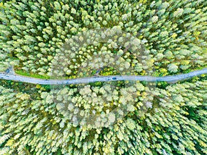 Aerial view of a country road in the forest with moving cars. Beautiful landscape. Captured from above with a drone. Aerial bird`s