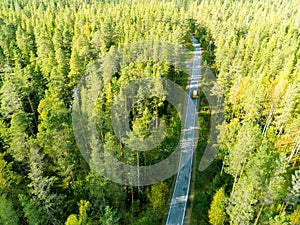 Aerial view of a country road in the forest with moving cars. Beautiful landscape. Captured from above with a drone. Aerial bird`s