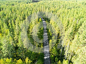 Aerial view of a country road in the forest with moving cars. Beautiful landscape. Captured from above with a drone. Aerial bird`s