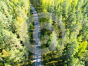 Aerial view of a country road in the forest with moving cars. Beautiful landscape. Captured from above with a drone. Aerial bird`s