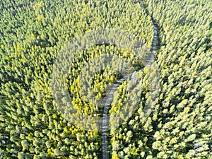 Aerial view of a country road in the forest with moving cars. Beautiful landscape. Captured from above with a drone. Aerial bird`s