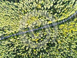 Aerial view of a country road in the forest with moving cars. Beautiful landscape. Captured from above with a drone. Aerial bird`s