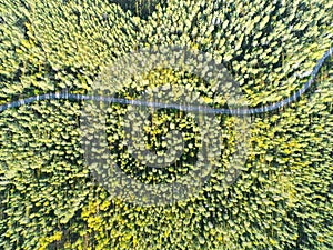 Aerial view of a country road in the forest with moving cars. Landscape. Captured from above with a drone. Aerial bird`s eye road
