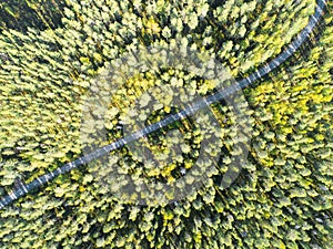 Aerial view of a country road in the forest with moving cars. Landscape. Captured from above with a drone. Aerial bird`s eye road