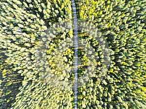 Aerial view of a country road in the forest with moving cars. Landscape. Captured from above with a drone. Aerial bird`s eye road
