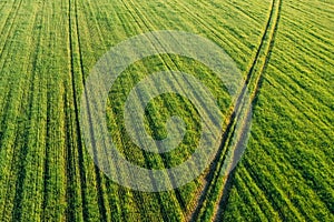 Aerial view of country road through green field rural landscape in summer. Top view of countryside road in summer field