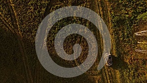Aerial view of the country road with tire tracks among trees. Footage. Top view of sunset field with a man getting